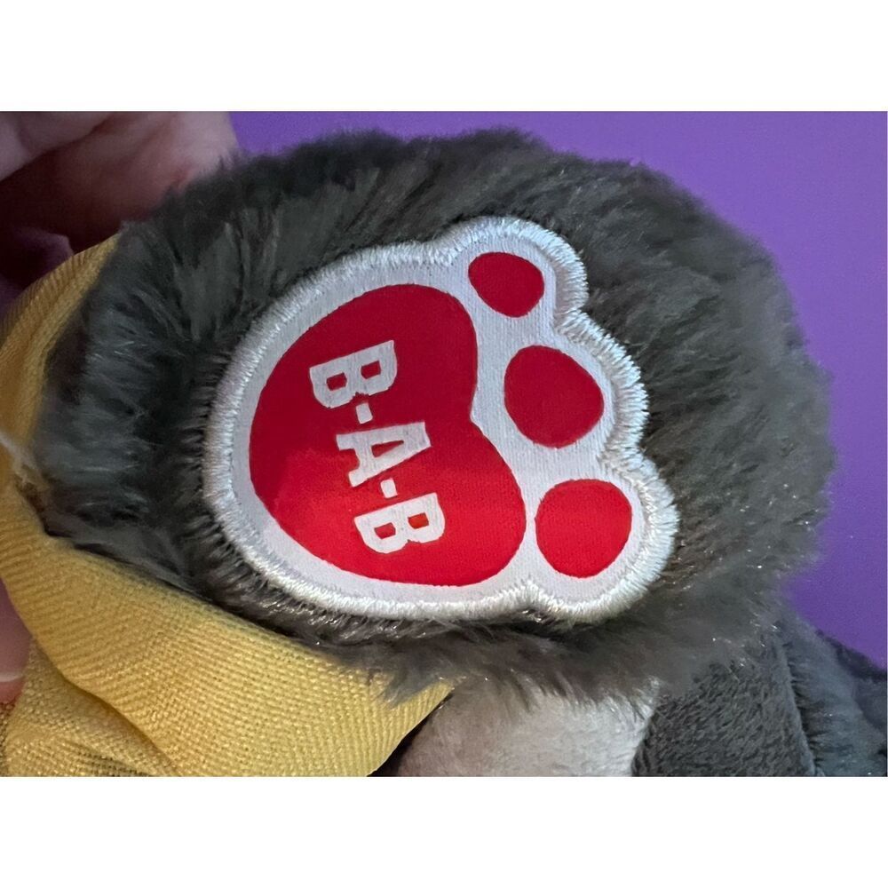 Oliver Racoon BAB Great Wolf Lodge NWOT - Picture 3 of 4